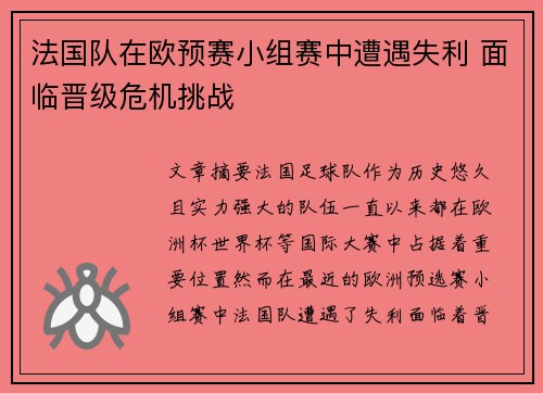 法国队在欧预赛小组赛中遭遇失利 面临晋级危机挑战
