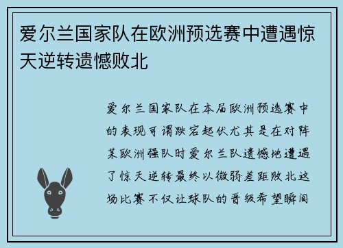 爱尔兰国家队在欧洲预选赛中遭遇惊天逆转遗憾败北