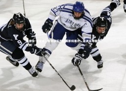 九游会-关注点：亚洲俱乐部杯赛即将展开，亚洲足球联赛官网