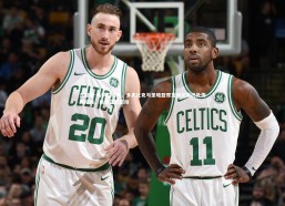 九游会-马萨拉曝料，多夫比克与圣地亚哥互换交易仍处传闻阶段，尚未正式启动