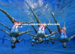 九游会-足球草坪上的较量点燃球迷狂热，足球场上的草坪是什么草