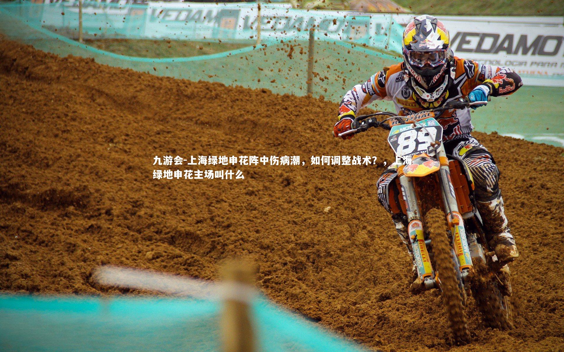 上海绿地申花阵中伤病潮，如何调整战术？，上海绿地申花主场叫什么