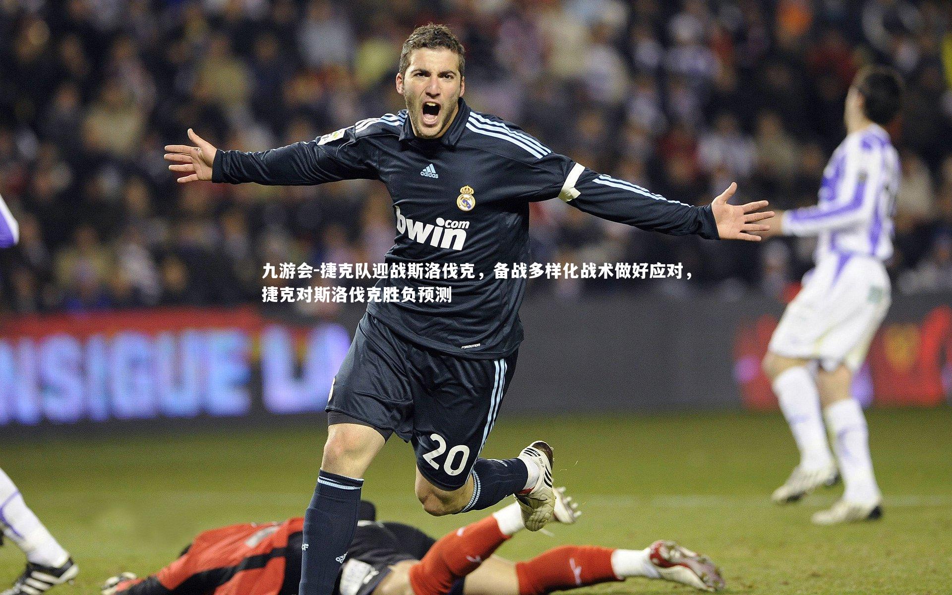 捷克队迎战斯洛伐克,备战多样化战术做好应对,捷克对斯洛伐克胜负预测